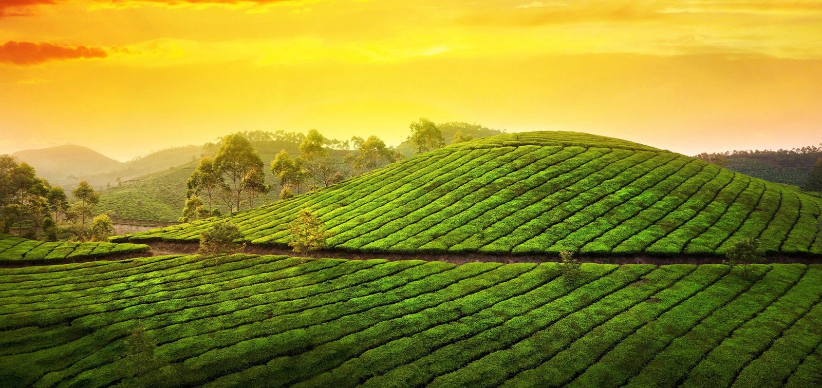 Munnar